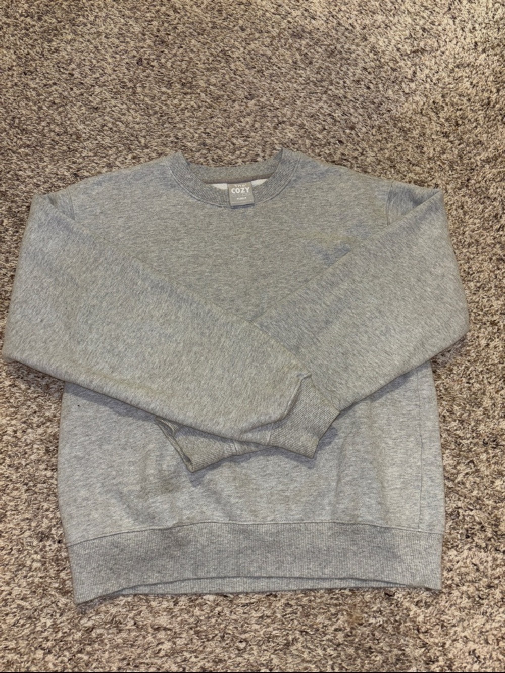 Aritzia TNA Crewneck Sweatshirt - Gray